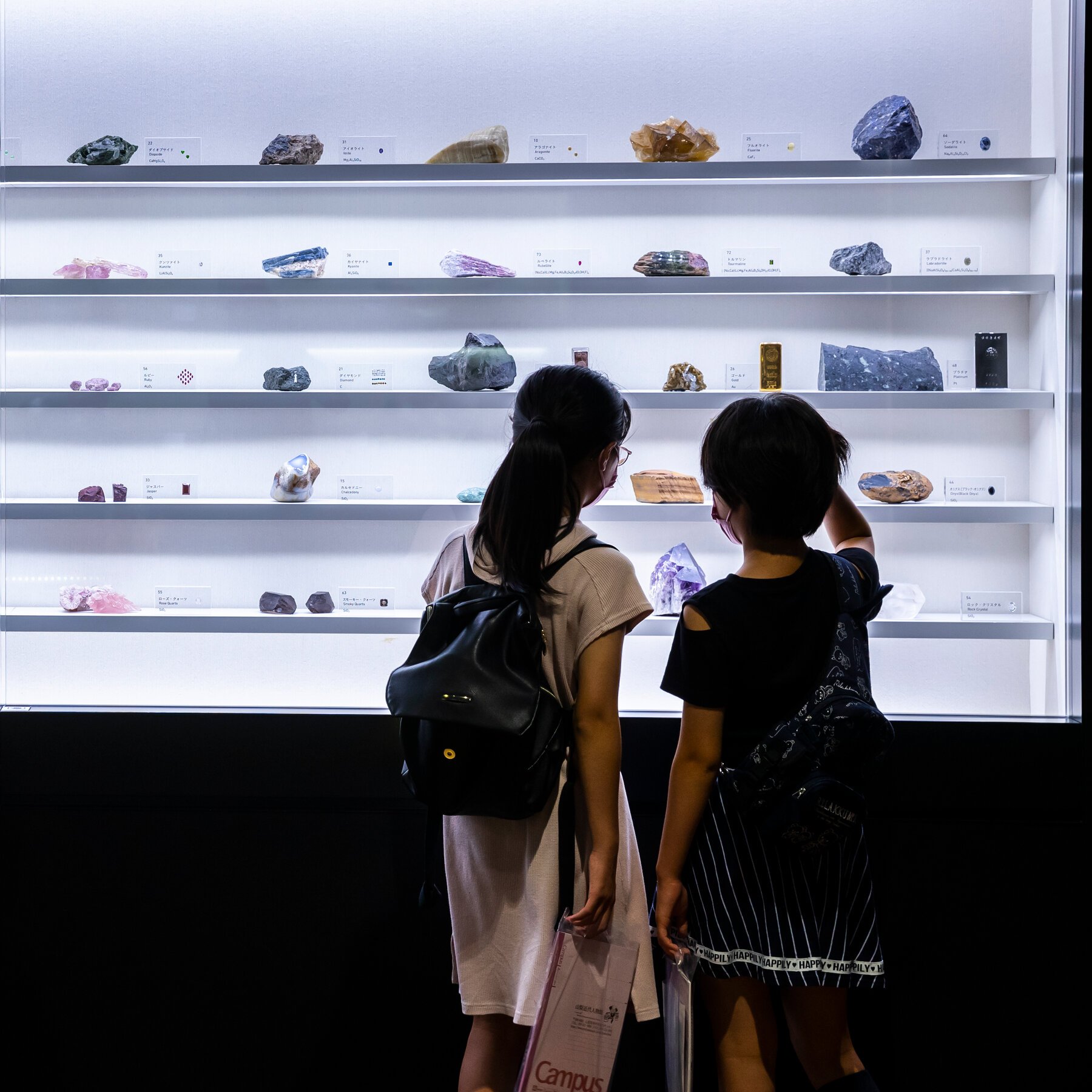 🛍️ 야마나시현 지방 산업 센터(카이테라스) 이미지 3